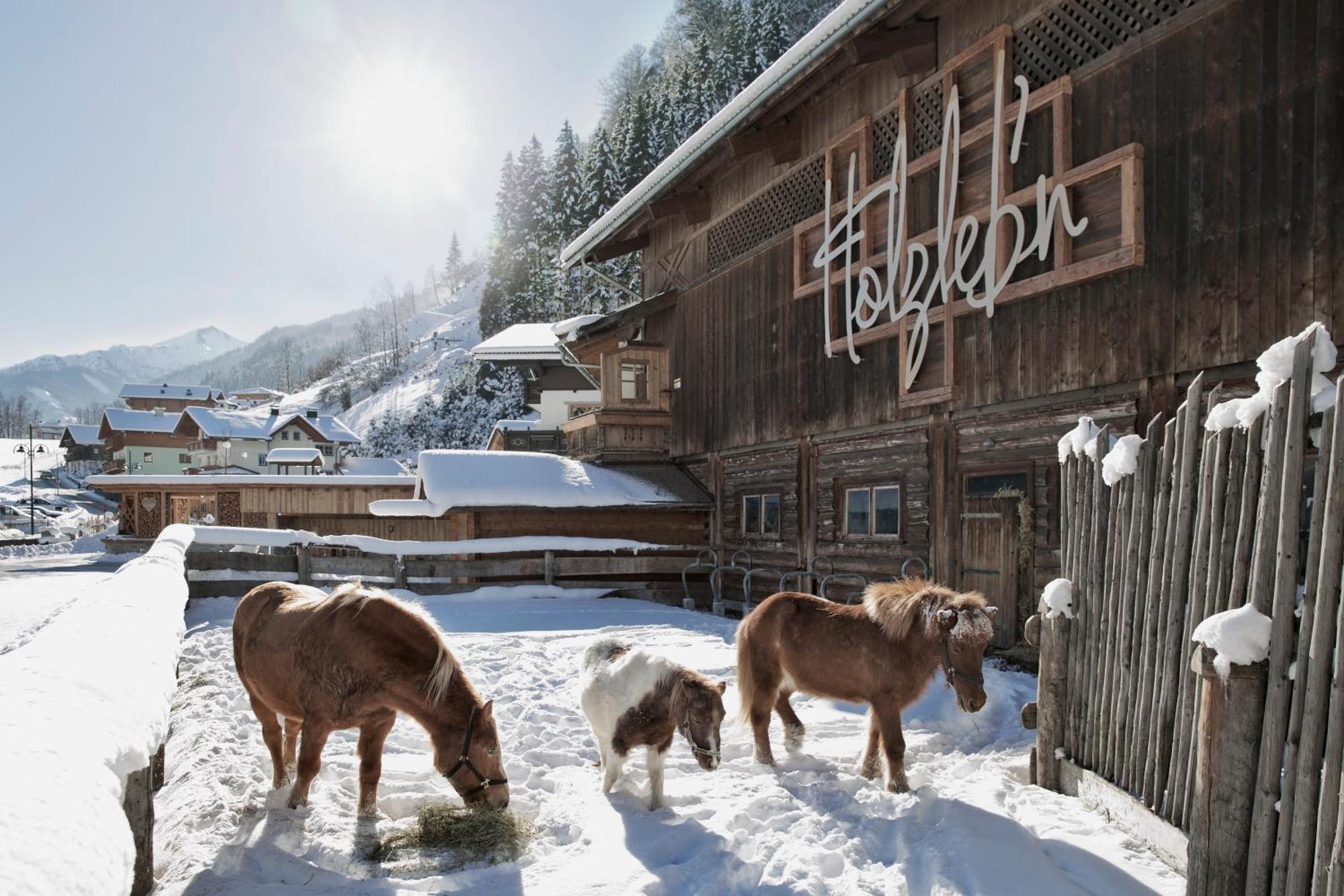 Feriendorf Holzlebn Großarl Exterior foto