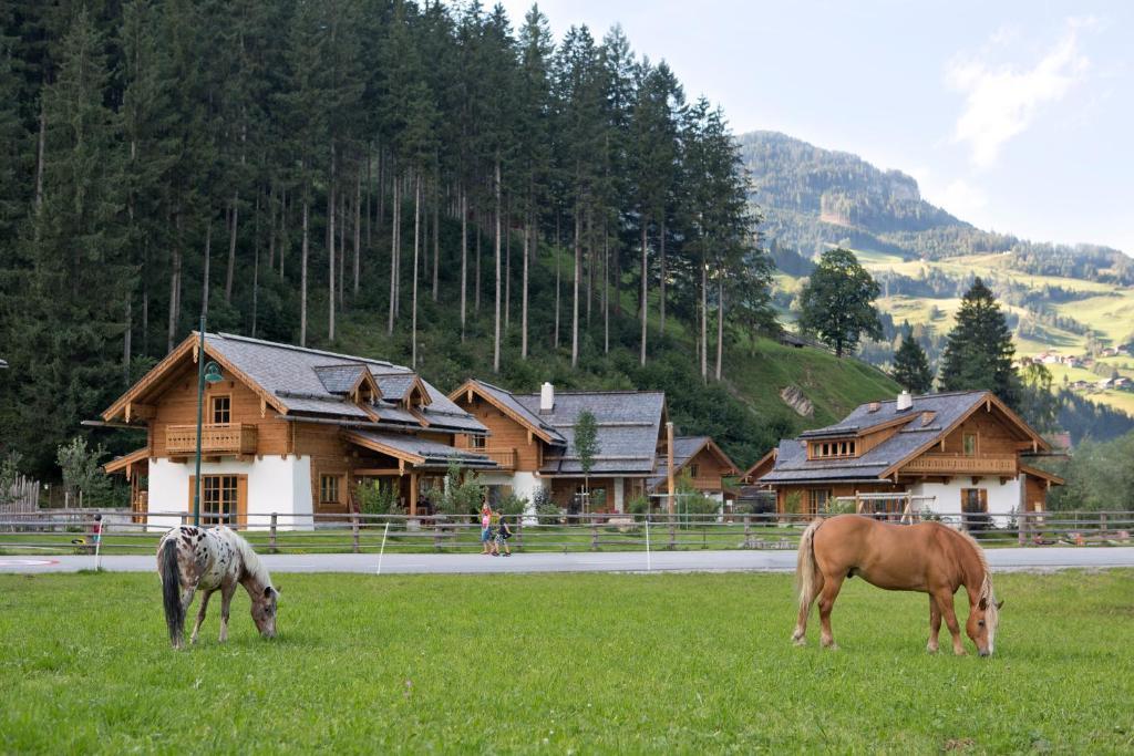 Feriendorf Holzlebn Großarl Exterior foto